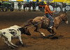 David Friend > Steer Roping Competition photo