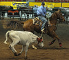 David Friend > Steer Roping Competition photo