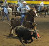 David Friend > Steer Roping Competition photo