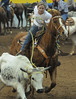 David Friend > Steer Roping Competition photo